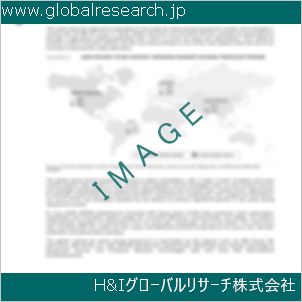 グローバルリサーチ調査資料のイメージ